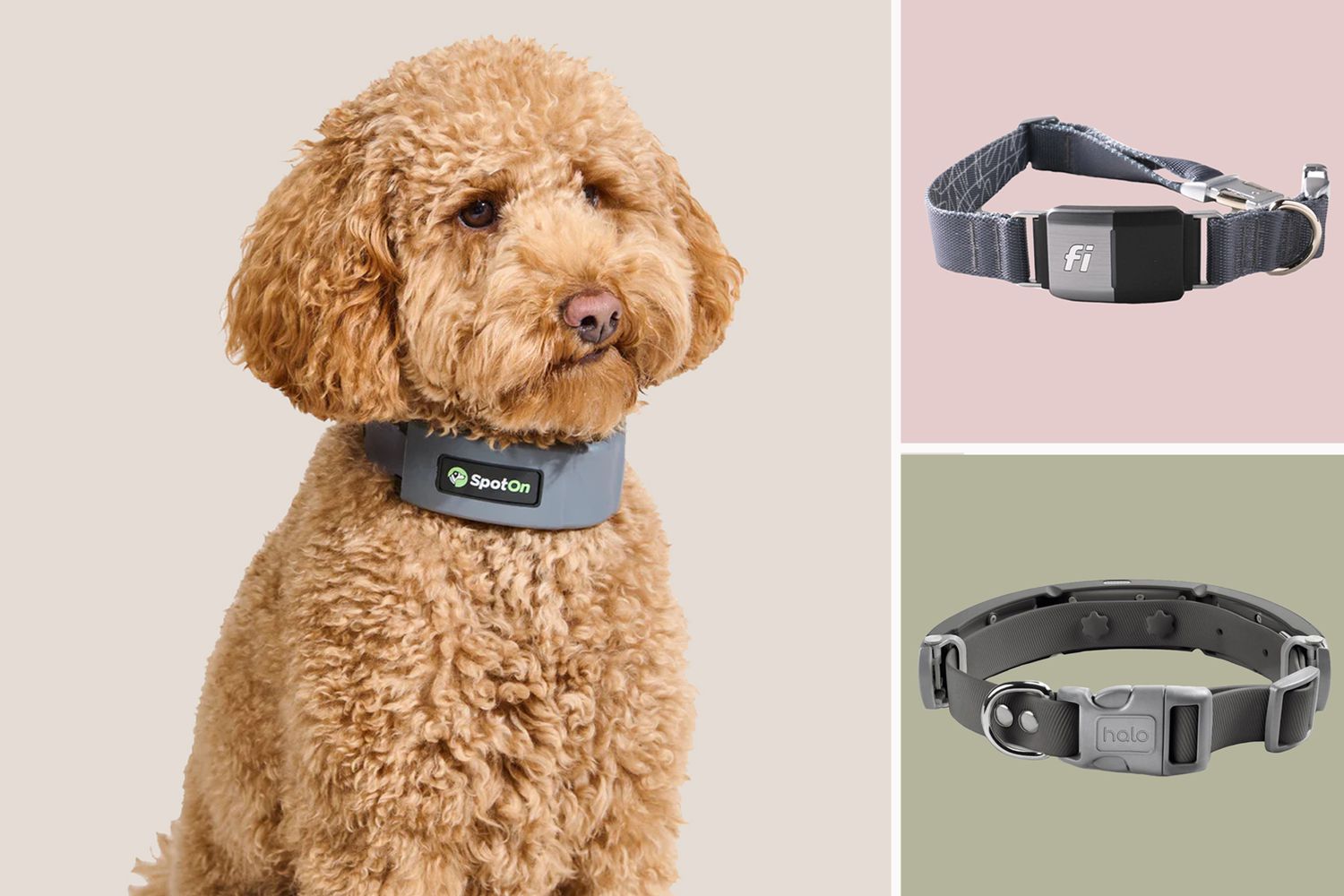 What dog accessories are essential for a new dog owner?