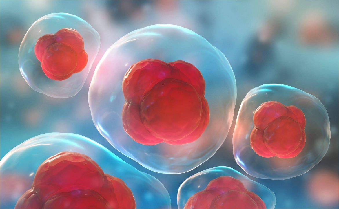 Understanding the Diverse Types of Stem Cell Treatments