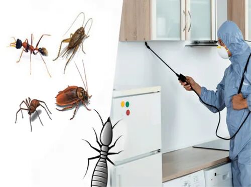 Simple steps that help keep everyday pests away from homes