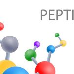 N-Acetyl Semax Peptide Enhancing Research Potential Within Controlled Laboratory Studies